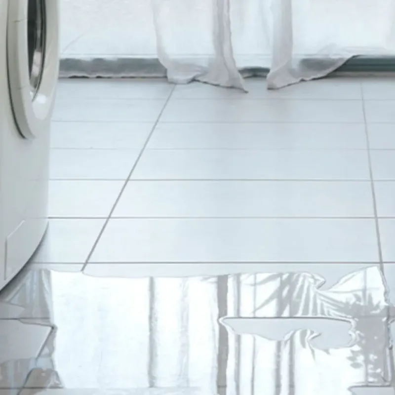 Appliance Leak Cleanup in Halifax County, VA