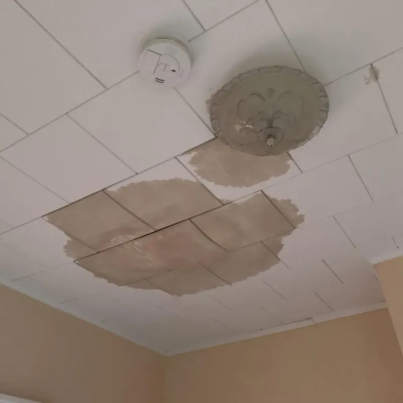 Ceiling Water Damage Repair in Halifax County, VA
