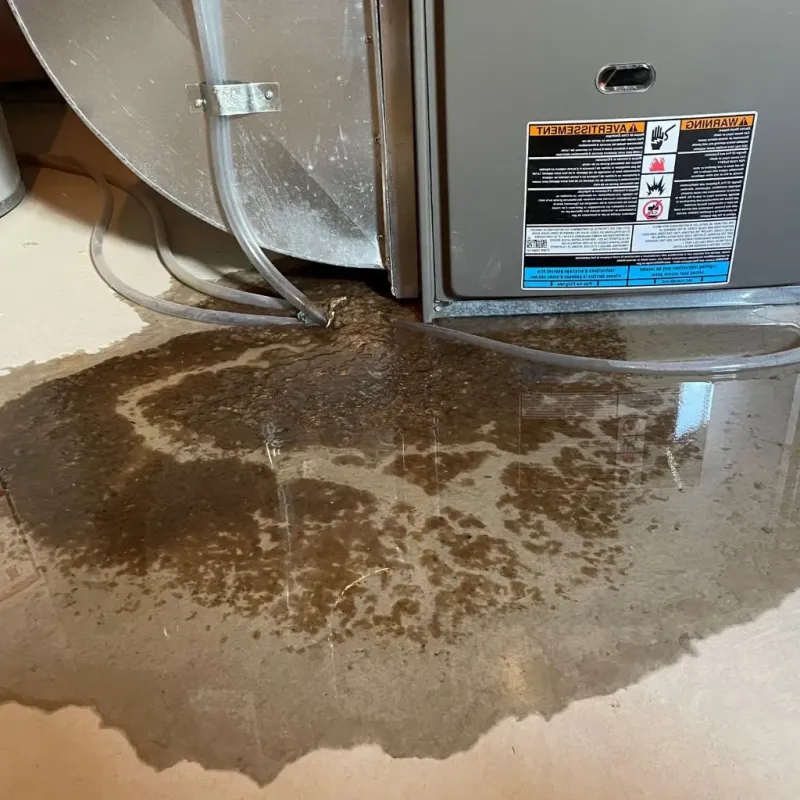 Pipe Burst and Leak Restoration in Halifax County, VA
