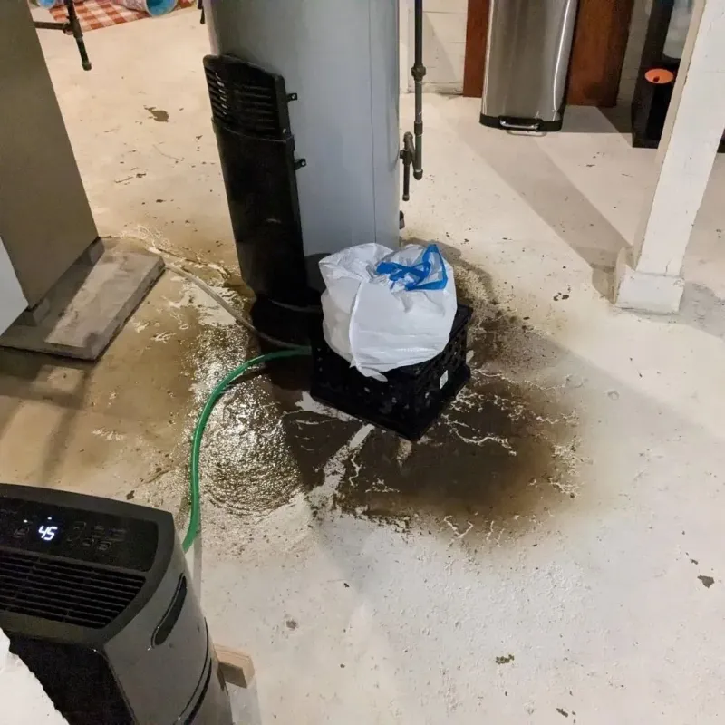 Sewage Backup Cleanup Service in Halifax County, VA